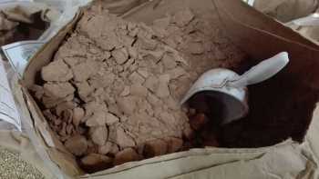 Cacao en polvo
