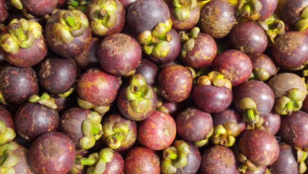 Mangostinos