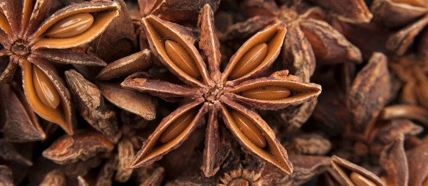 Aceite esencial de An&iacute;s estrellado