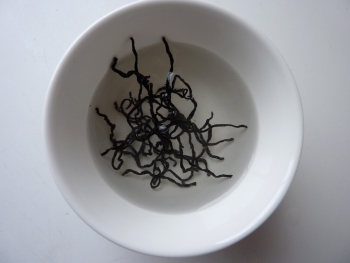 Alga hijiki