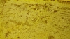 Panal de miel