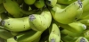 Pl&aacute;tano