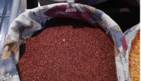 Quinoa roja