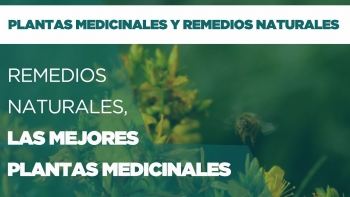 Remedios naturales: las mejores plantas medicinales