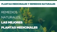 Remedios naturales: las mejores plantas medicinales