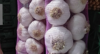 Ajos