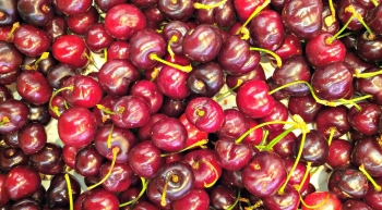 Rabos de cereza