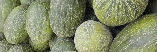 Mel&oacute;n, fruta rica en agua usado en dietas de adelgazamiento