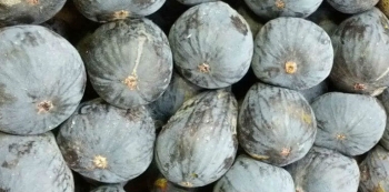 Higos secos, fuente vegetal de calcio