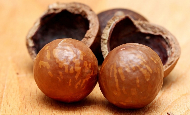 Nuez de Macadamia