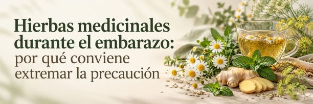 Hierbas medicinales durante el embarazo: por qu&eacute; conviene extremar la precauci&oacute;n