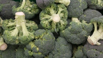 Br&oacute;coli o br&eacute;col