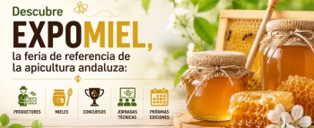 Expomiel C&oacute;rdoba: feria de la miel y la apicultura andaluza
