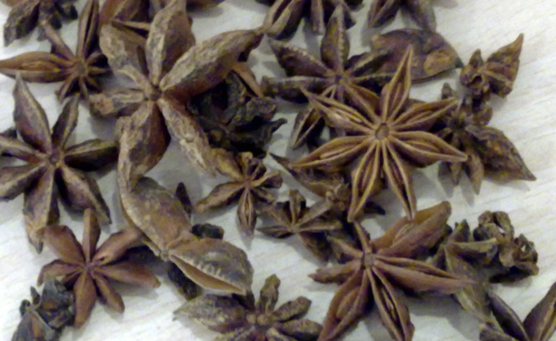 An&iacute;s estrellado