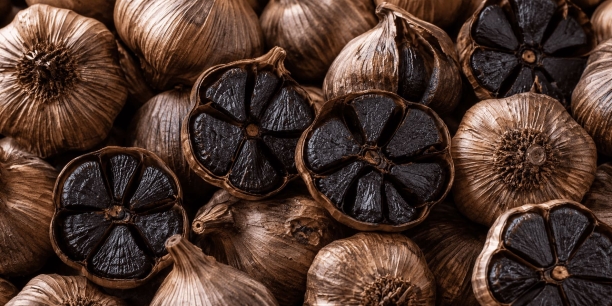 Ajo negro fermentado