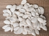 Semillas de calabaza