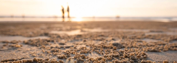 Recupera tu Energ&iacute;a y salud: Complementos diet&eacute;ticos para la vuelta despu&eacute;s del verano