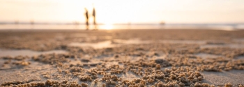 Recupera tu Energ&iacute;a y salud: Complementos diet&eacute;ticos para la vuelta despu&eacute;s del verano