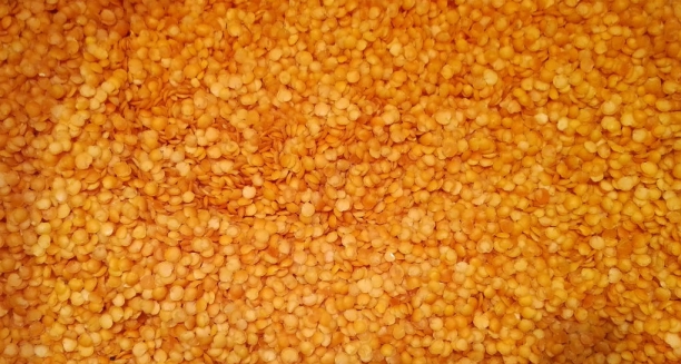 Lenteja roja