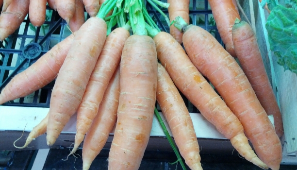 Zanahorias, fuente de betacaroteno
