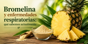 Bromelina y enfermedades respiratorias: qu&eacute; sabemos actualmente