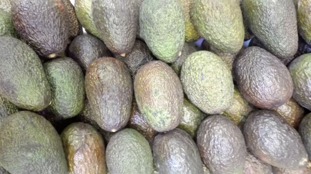 Aguacates