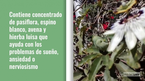 Pasiflora Plus de Integralia, combinado de plantas con acci&oacute;n relajante