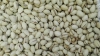 Pistachos fuente vegetal de glicina