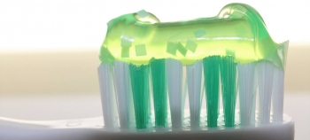 Fitoterapia para el cuidado de los dientes y enc&iacute;as