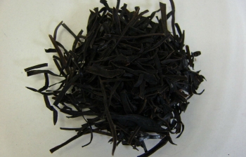 Alga arame