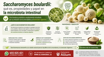 Saccharomyces boulardii: qu&eacute; es, propiedades y papel en la microbiota intestinal