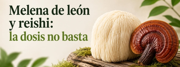 Melena de le&oacute;n y reishi: por qu&eacute; 500 mg no siempre significan lo mismo