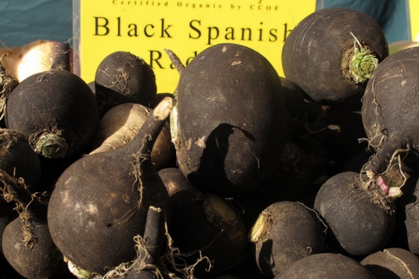 R&aacute;bano Negro