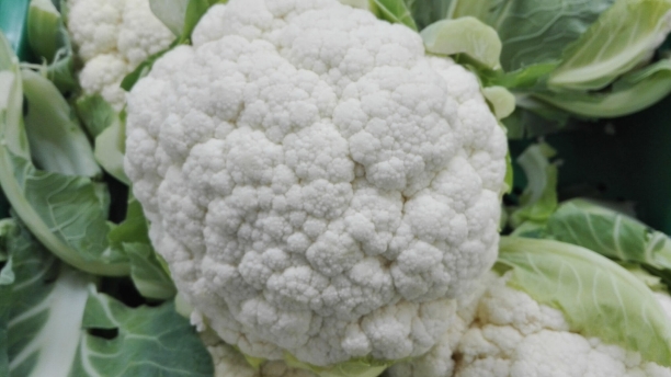 La coliflor, saludable y fuente de fibra, antioxidantes y minerales
