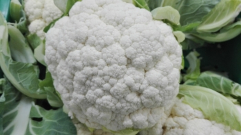 La coliflor, saludable y fuente de fibra, antioxidantes y minerales