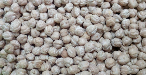 Garbanzos