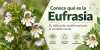 La eufrasia, t&oacute;nico ocular