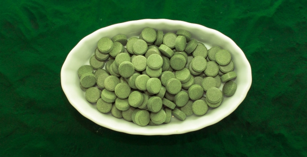 Alga chlorella