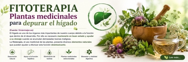 Plantas medicinales para el h&iacute;gado: usos y precauciones