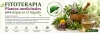 Plantas medicinales para el h&iacute;gado: usos y precauciones