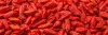 El goji, antioxidante, refuerza el sistema inmune y regula el apetito