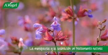 Menopausia: remedios naturales para los sofocos