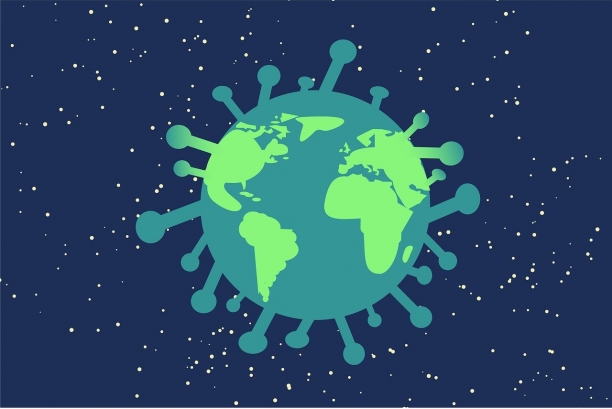 La OMS prueba la fitoterapia como receta contra el coronavirus