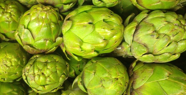 Alfachofa,  planta con propiedades coler&eacute;ticas