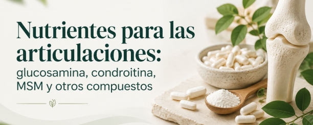 Nutrientes para las articulaciones: glucosamina, condroitina, MSM y otros compuestos
