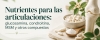 Nutrientes para las articulaciones: glucosamina, condroitina, MSM y otros compuestos