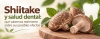 Shiitake