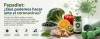 Fepadiet: &iquest;Qu&eacute; podemos hacer ante el coronavirus?