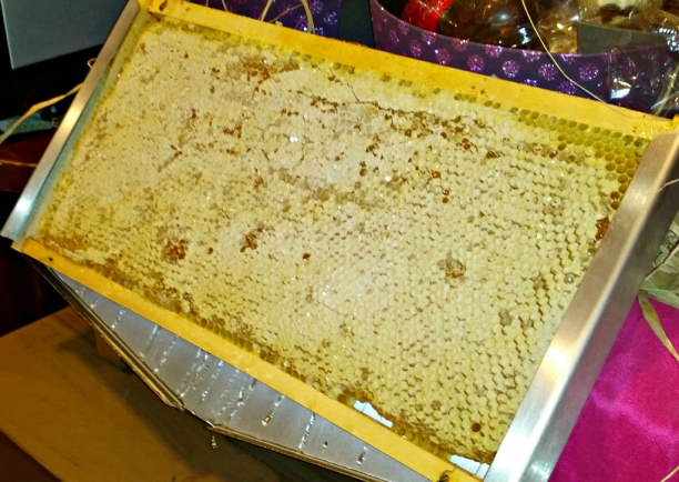 Panal de Miel