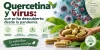 Quercetina y virus: qu&eacute; se ha descubierto desde la pandemia